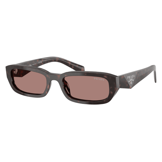 Lentes de sol SPR B06S 17N-60B