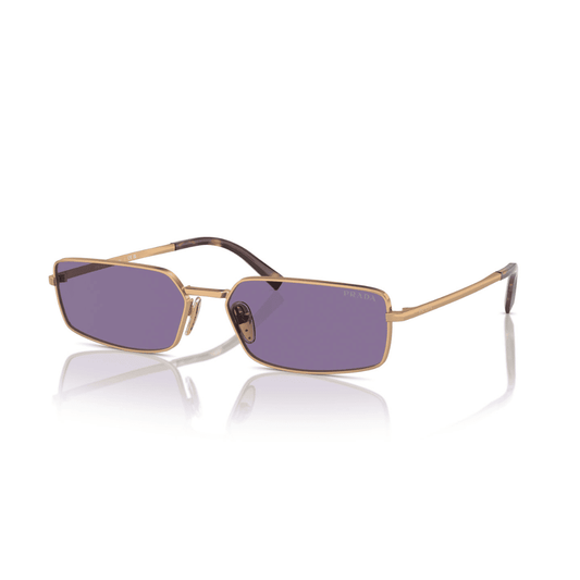 Lentes de sol SPR A60S 7OE-01O