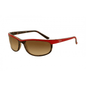 Lentes de sol RB2027 786/51 Predator 2 Rojo Carey Cafe Degradado