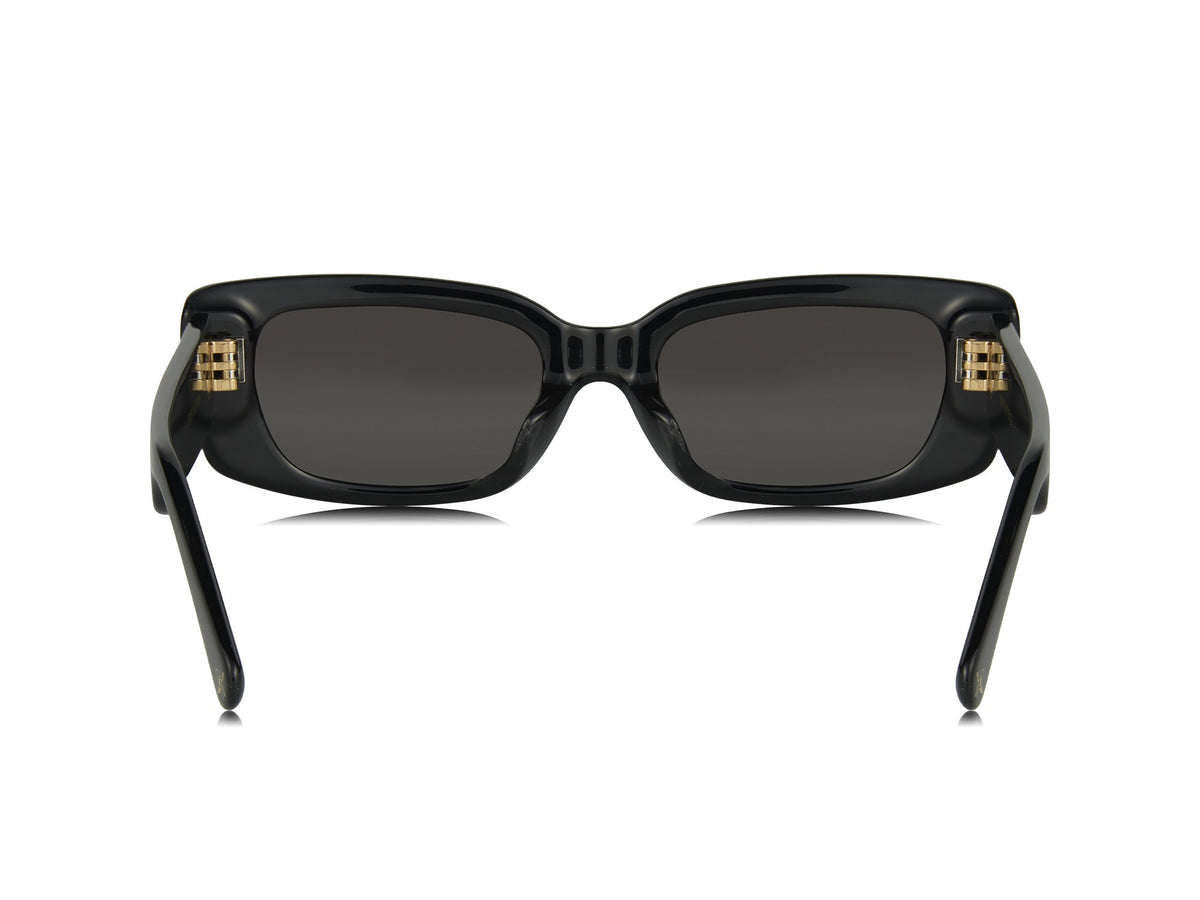 Lentes de sol Z2109W LV Circle Cat Eye
