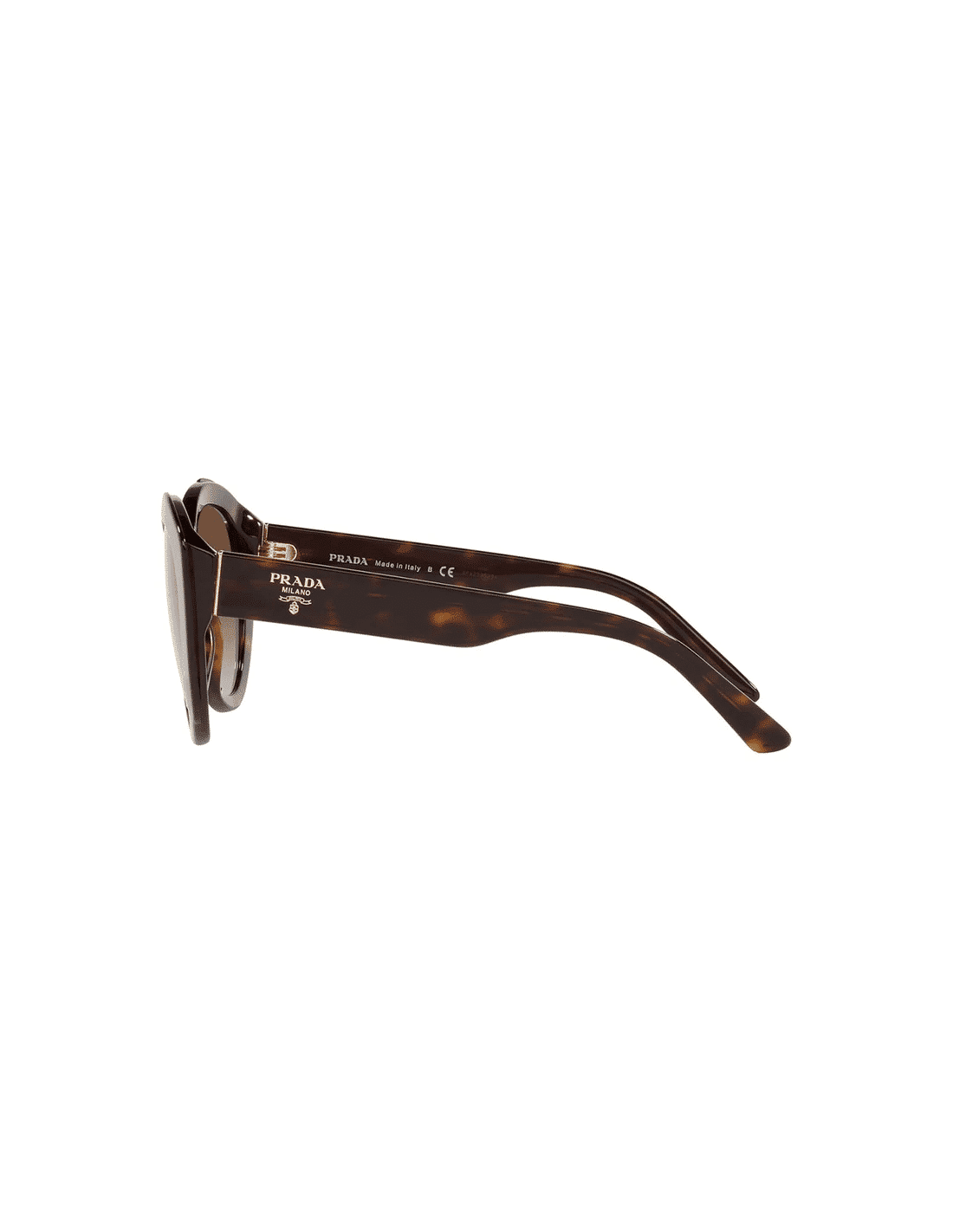 Lentes de sol SPR01Y 2AU-6S1 Square Shape Cafe Degradado Carey
