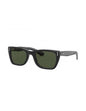 Lentes de sol RB2248 901/31 Caribbean Negro G-15 Clasico