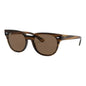 Lentes de sol Rb4368n 820/73 Meteor Blaze Carey Café B-15 Clásico